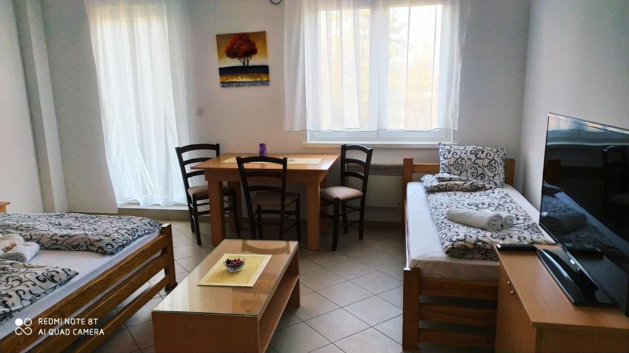 Apartmani - Vila Kovilje Banja Koviljaca Ngoại thất bức ảnh