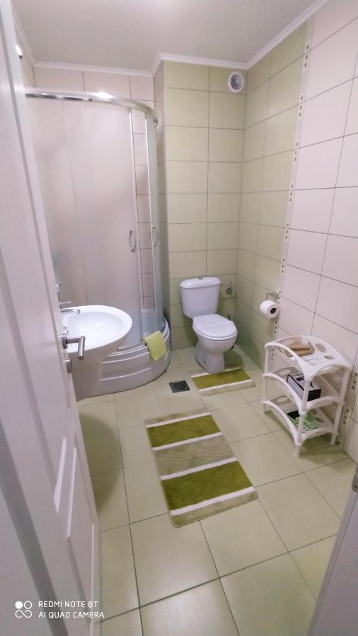 Apartmani - Vila Kovilje Banja Koviljaca Ngoại thất bức ảnh