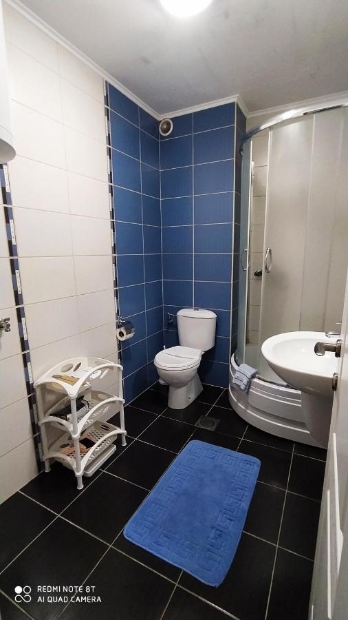 Apartmani - Vila Kovilje Banja Koviljaca Ngoại thất bức ảnh