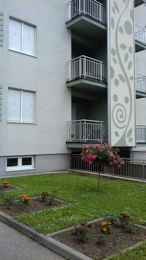 Apartmani - Vila Kovilje Banja Koviljaca Ngoại thất bức ảnh