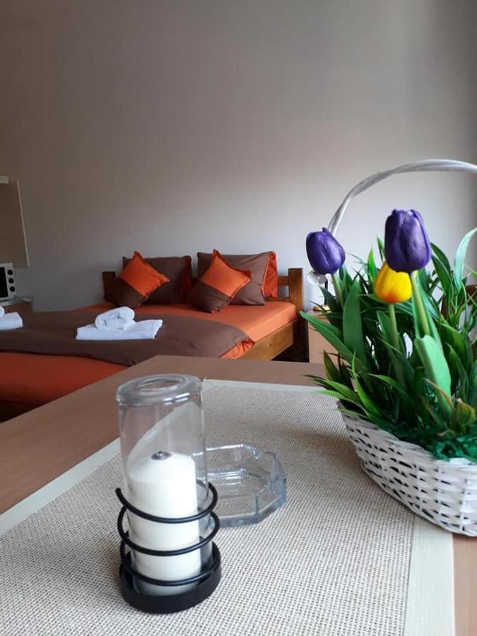 Apartmani - Vila Kovilje Banja Koviljaca Ngoại thất bức ảnh